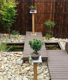 Japaneses garden 2
