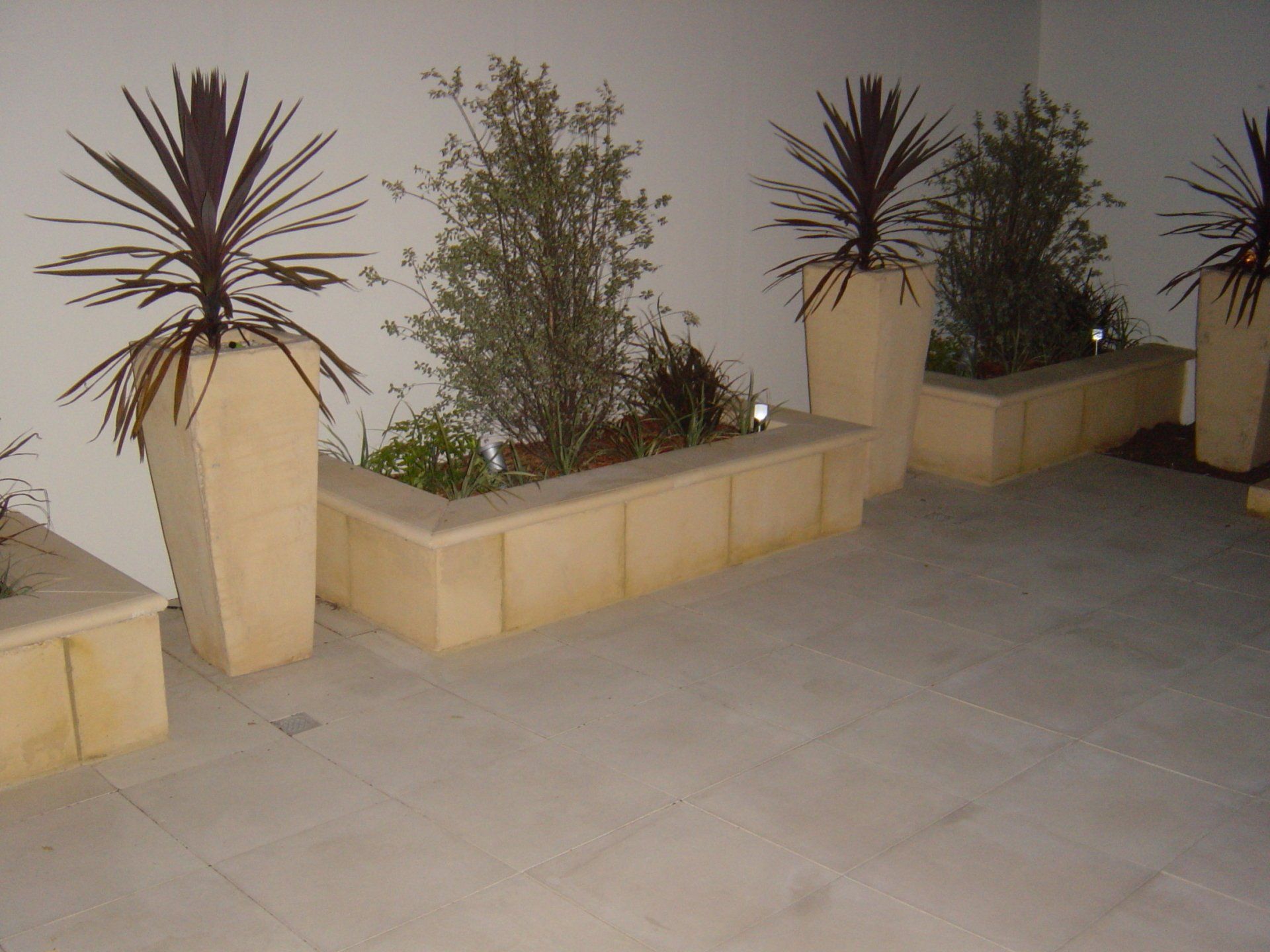 View of a garden