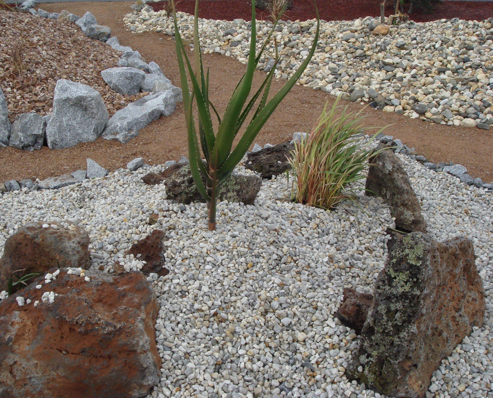 A Dry Spell Garden
