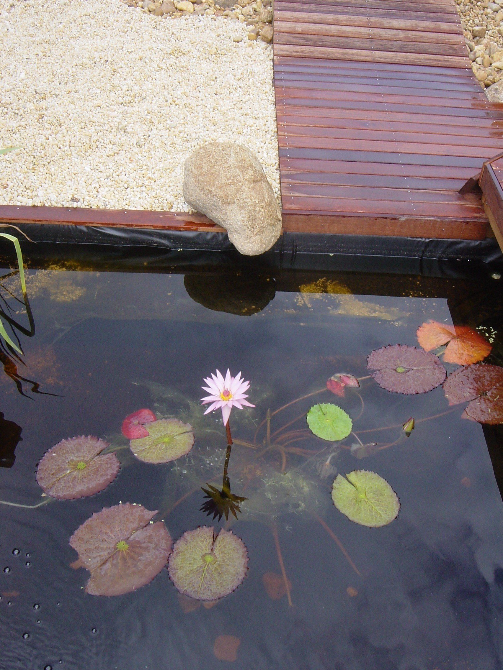 small water feature