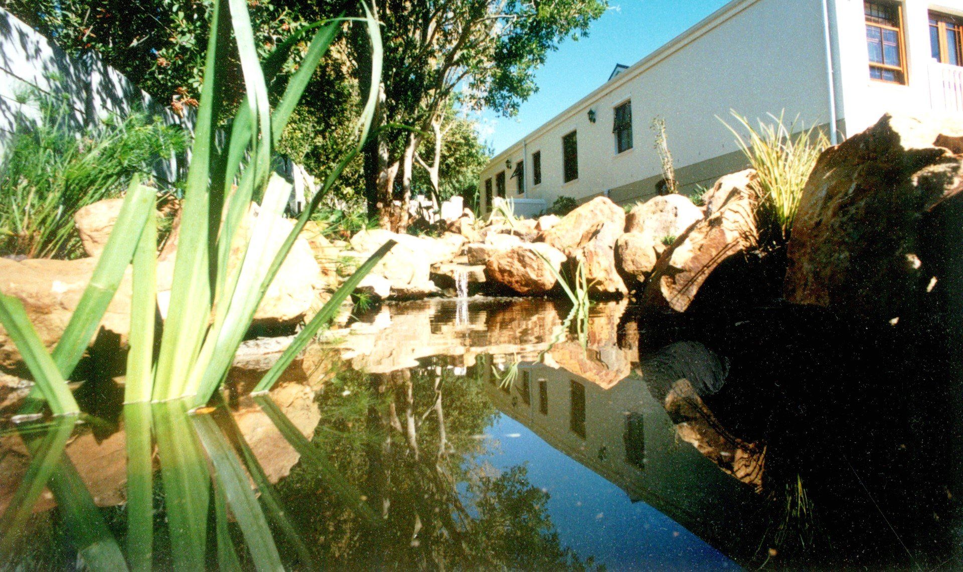 Water feature 5