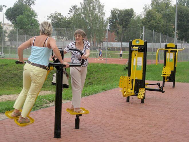 Outdoor Gym Equipment Twist and Ski Trainer