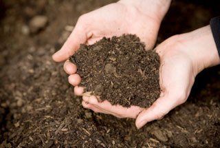 Landscaping mulch Midland, TX