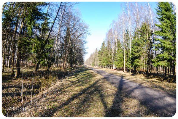 Babolovskoye Highway in our time