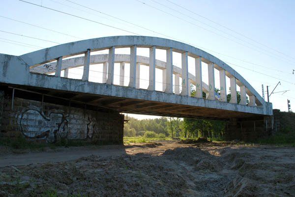 План переделки Баболовского парка под гольф-клуб
