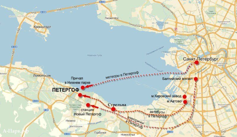 Петергоф на карте Санкт-Петербурга
