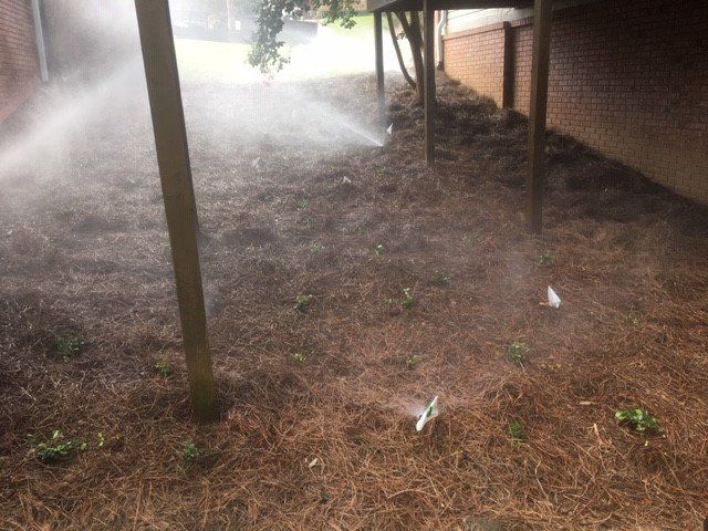Fertilization — Water Sprinkle in Garden in Oxford, MS