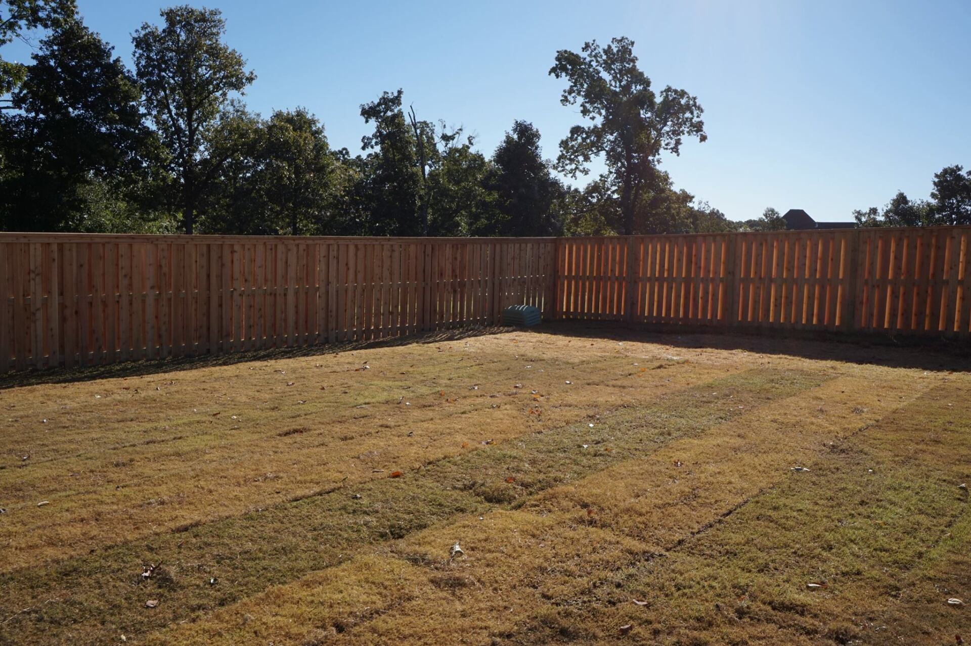 Sunlit backyard with a wooden fence, dry grass, and trees in the background