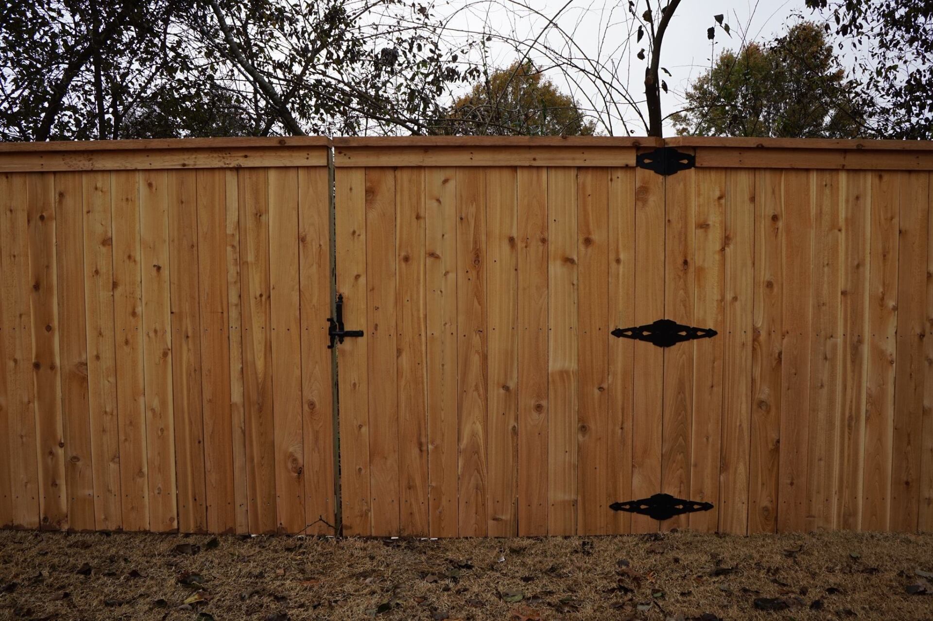 Wooden privacy fence with a black gate latch in a yard