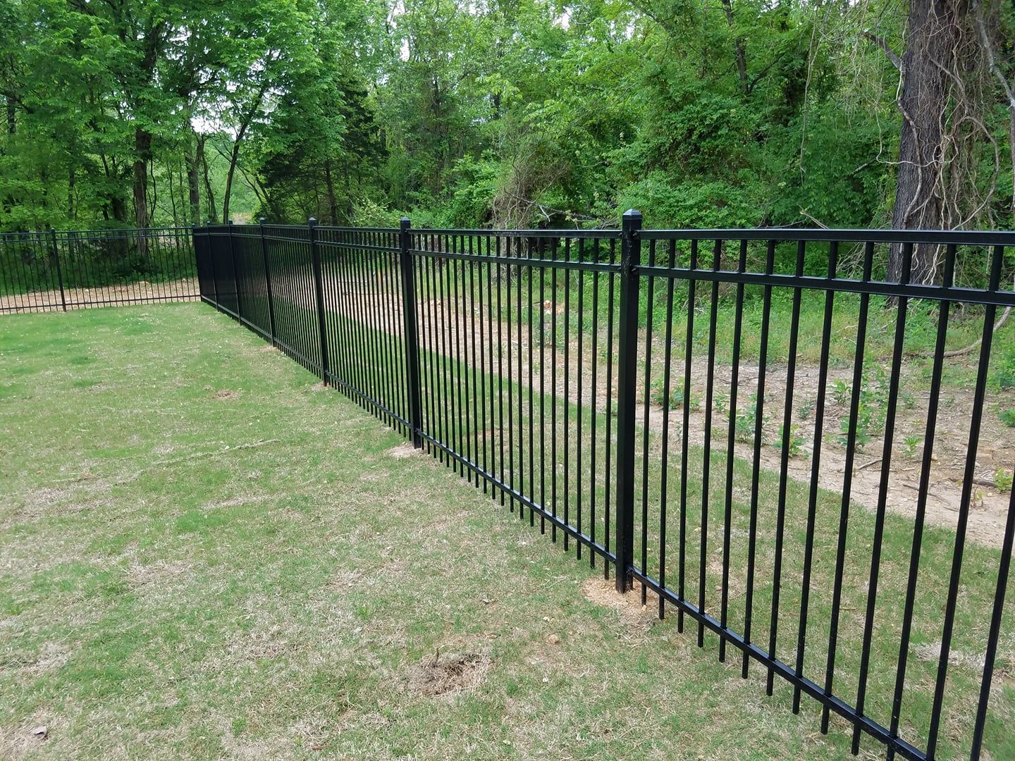 Black metal fence along a grassy path in a wooded park area