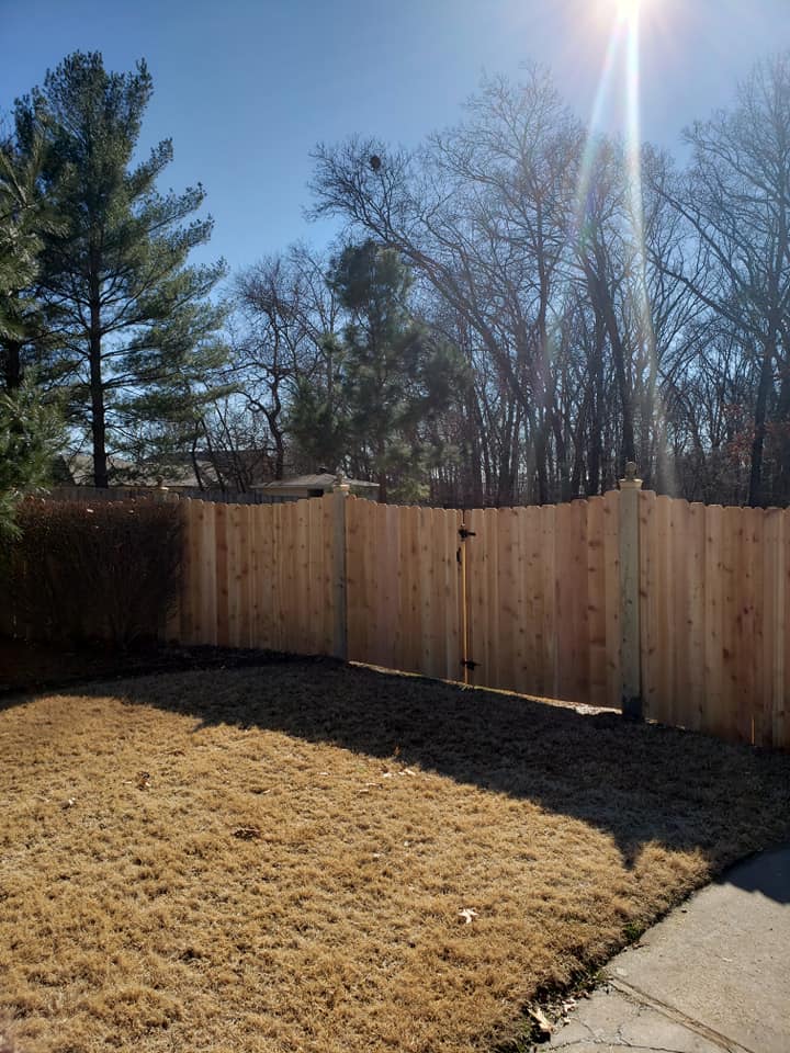 Backyard with tan wooden fence, leafless trees, and bright sun over winter grass