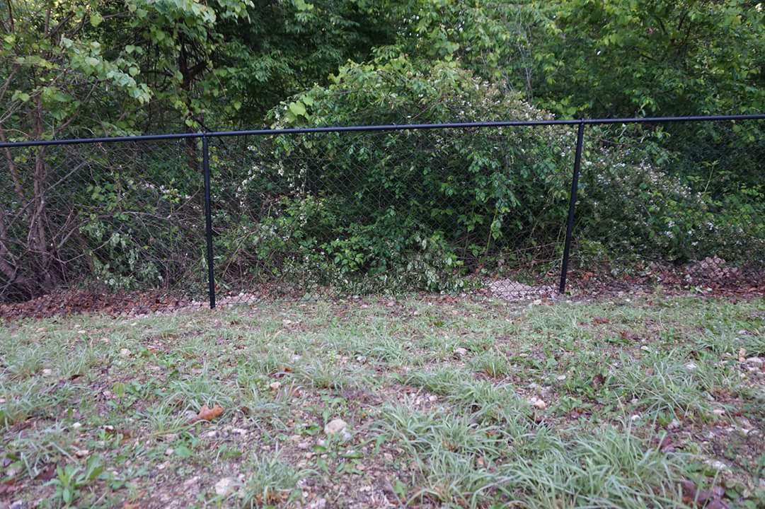 Black wire fence along a grassy edge with dense green trees and brush behind it.