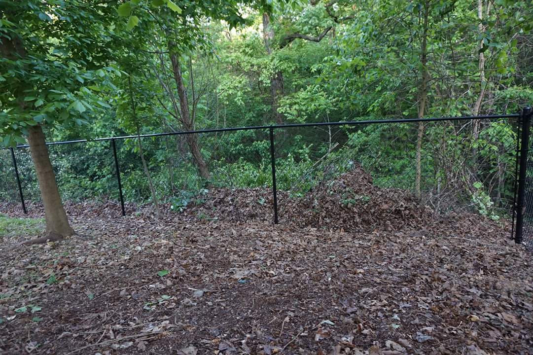 Black metal fence in a wooded area with leaf-covered ground and green trees behind it