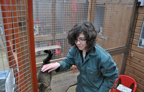 A fully licensed cattery