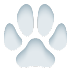 paw