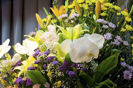 Fiori selvatici, gigli gialli e narcisi bianchi