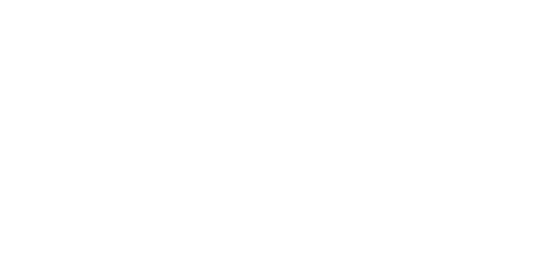 NAA Icon
