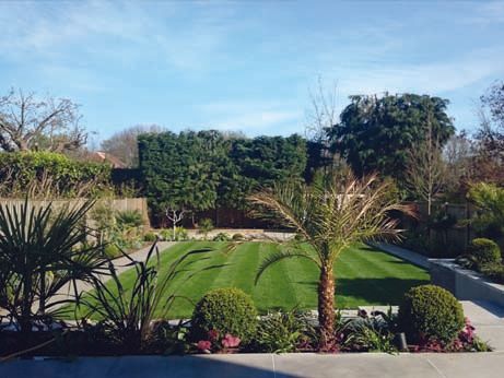 garden designers Stock Gardens of Stock Billericay Essex