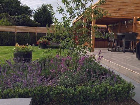 A garden with purple flowers and a wooden structure in the background