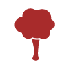 tree icon