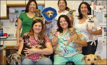 Veterinarian Staff - Veterinary Services in Tucson, AZ Veterinarian Staff - Veterinary Services in Tucson, AZ