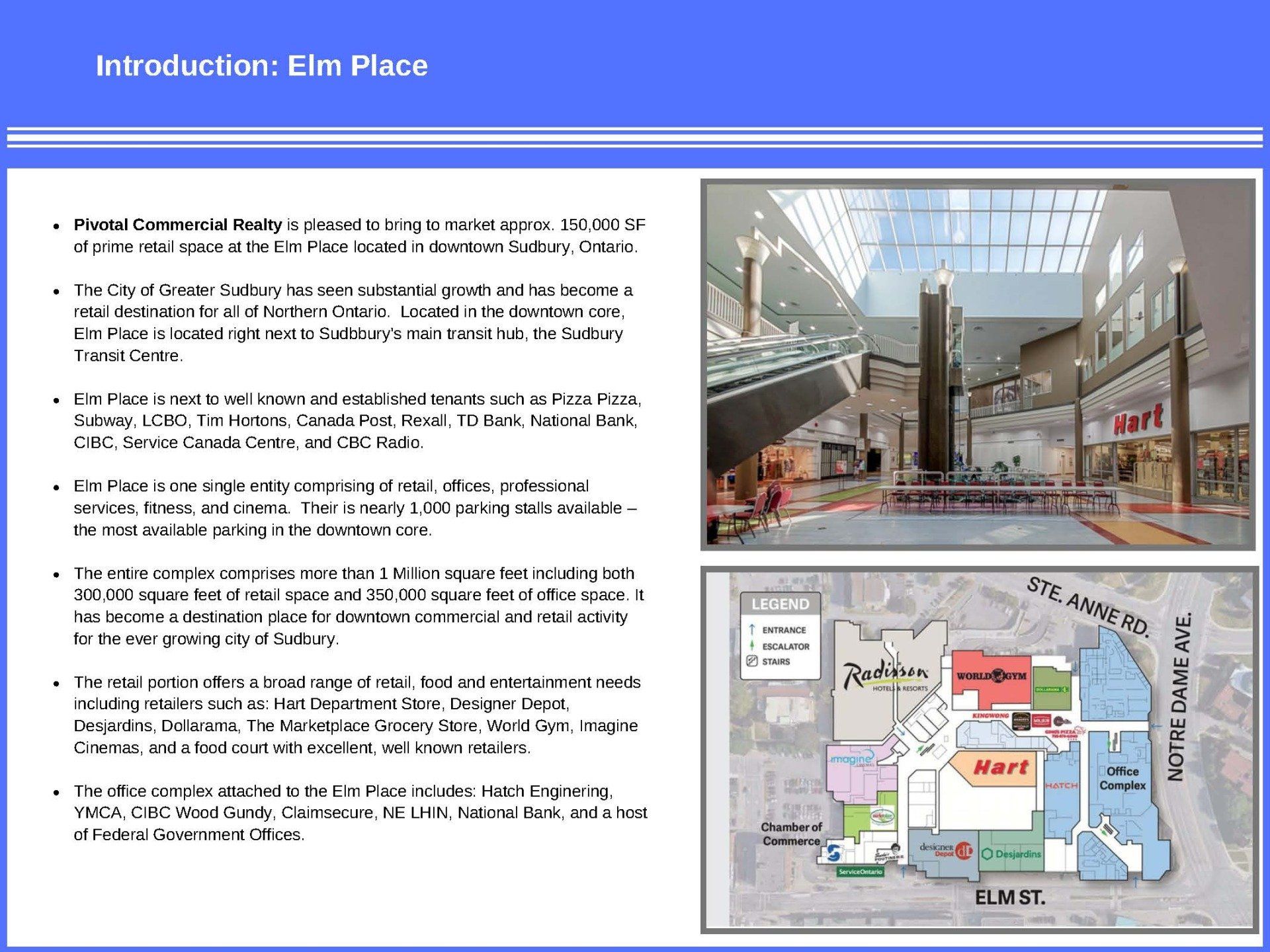 Slide titled 