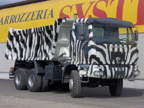 Autocarro con cassone ribaltabile zebrato parcheggiato