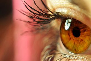 image-1498569-ThinkstockPhotos-464357807.jpg