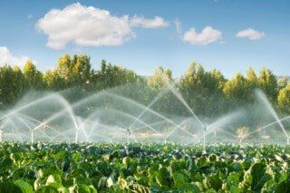 Irrigation System - Water Utility Companies in Deale, Maryland Irrigation System - Water Utility Companies in Deale, Maryland