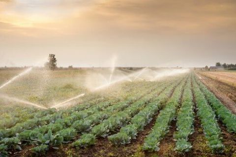 Sprinkler System - Water Well Drilling & Service in Deale, Maryland Sprinkler System - Water Well Drilling & Service in Deale, Maryland