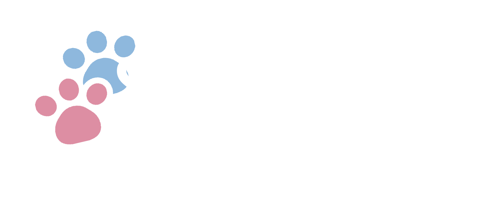 dog boarding