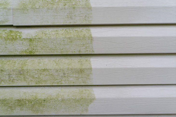 Algae Removal Service Sunshine Coast