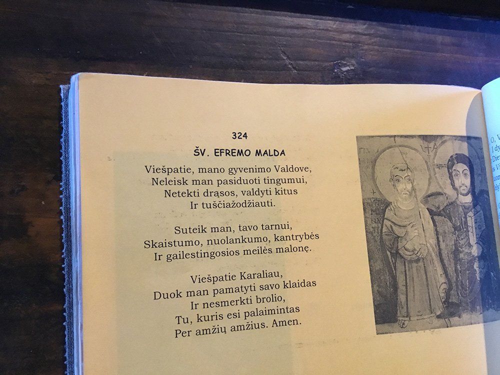 Jaunimas Baltriškėse