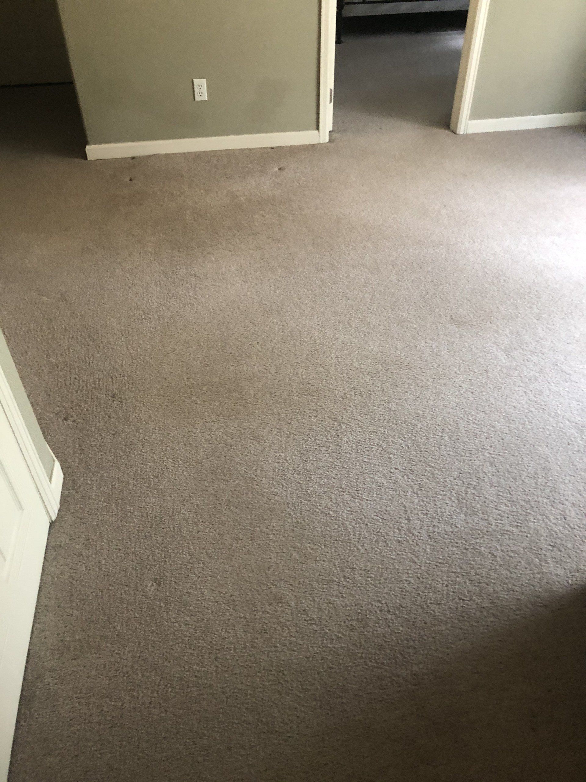 After Carpet Cleaning Photo