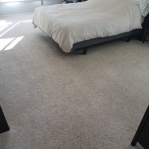 After Carpet Cleaning Photo