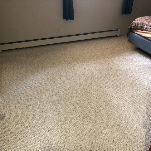 After Carpet Cleaning Photo