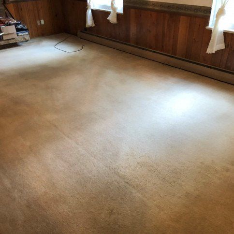 After Carpet Cleaning Photo