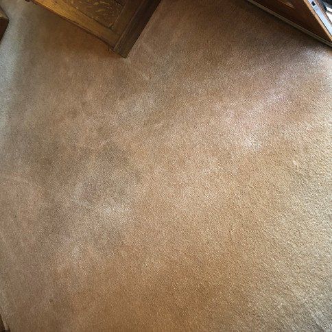 After Carpet Cleaning Photo