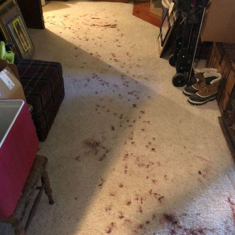 before and after photo of carpet cleaning