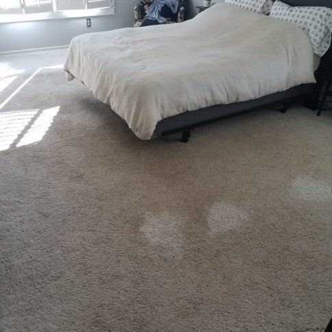 Before Carpet Cleaning Photo