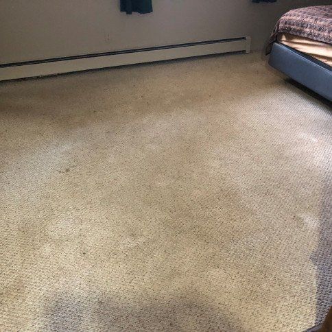 Before Carpet Cleaning Photo