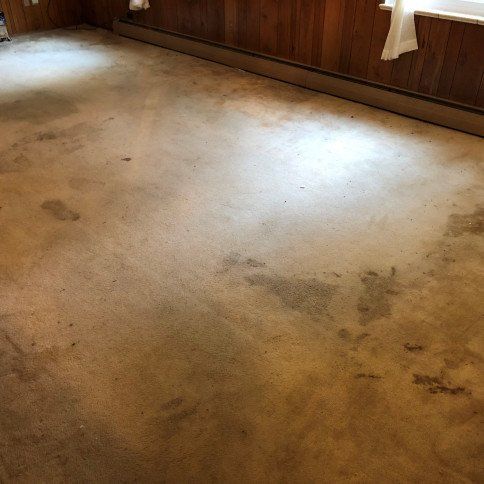 Before Carpet Cleaning Photo