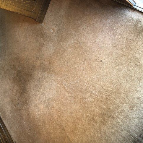 Before Carpet Cleaning Photo