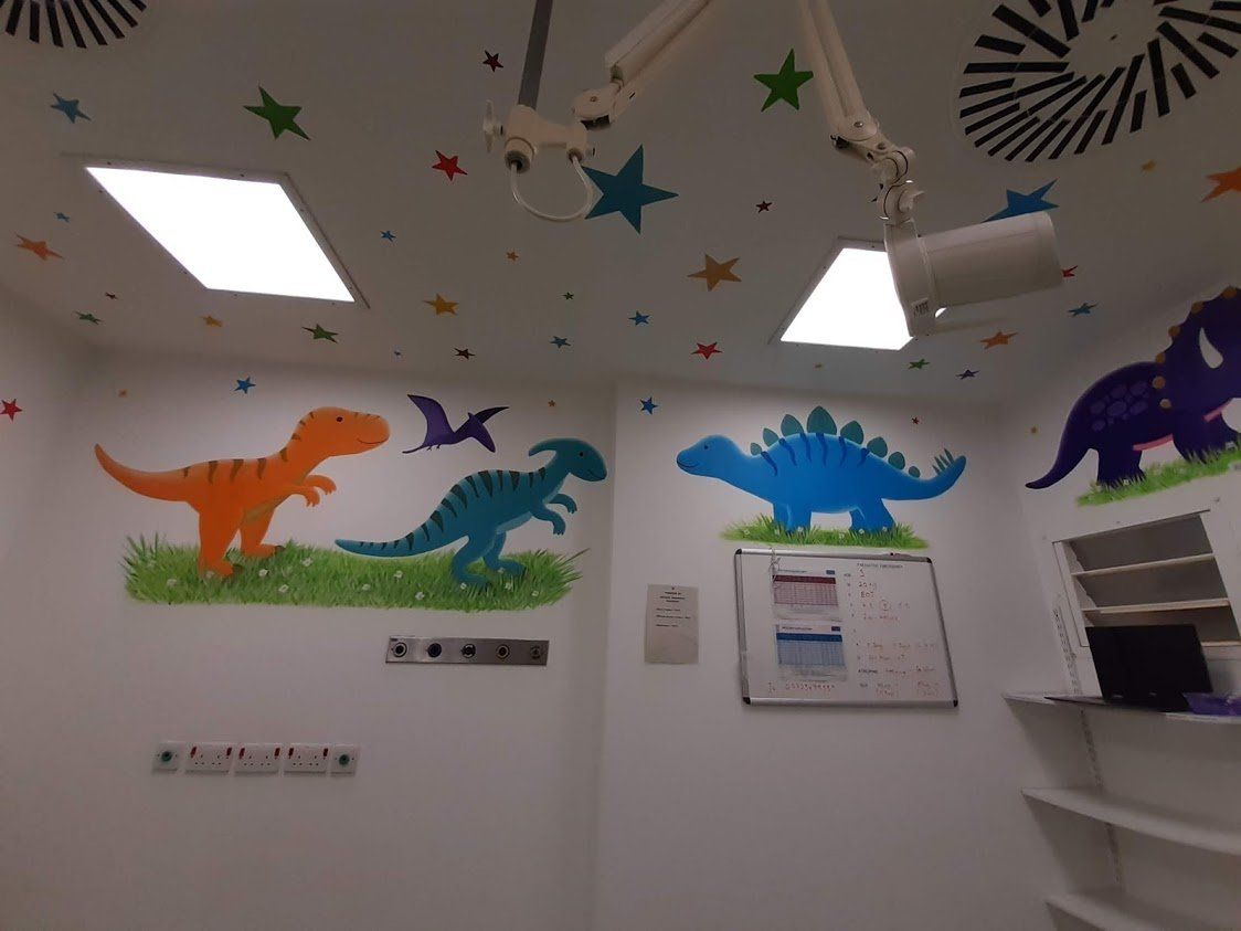 dinosaur mural in the theatre in james cook NHShospital