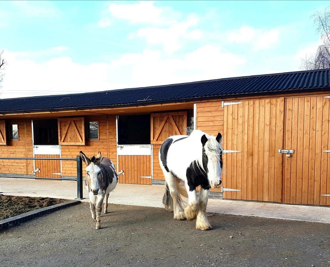 made to measure stables