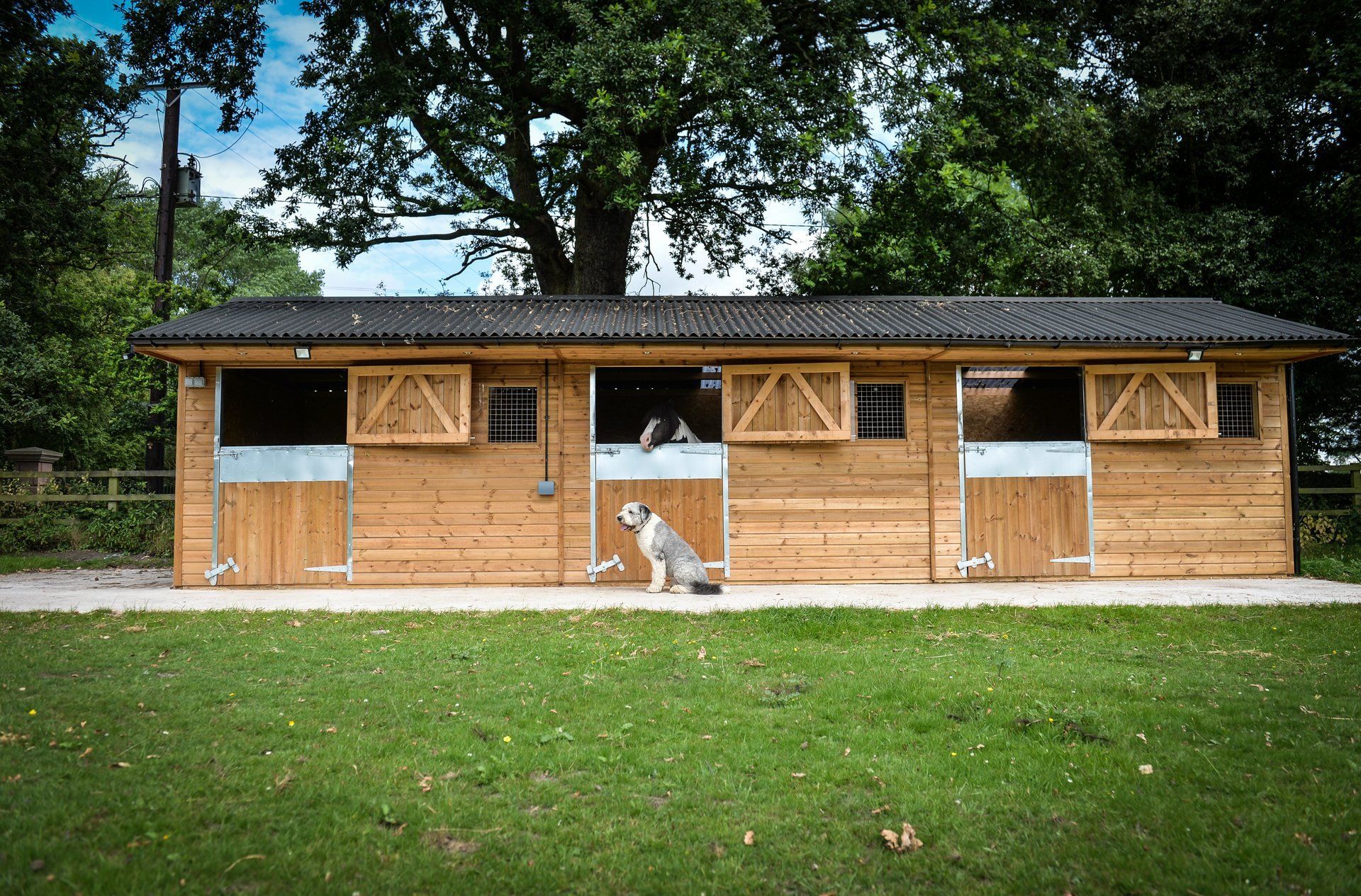 triple stable block