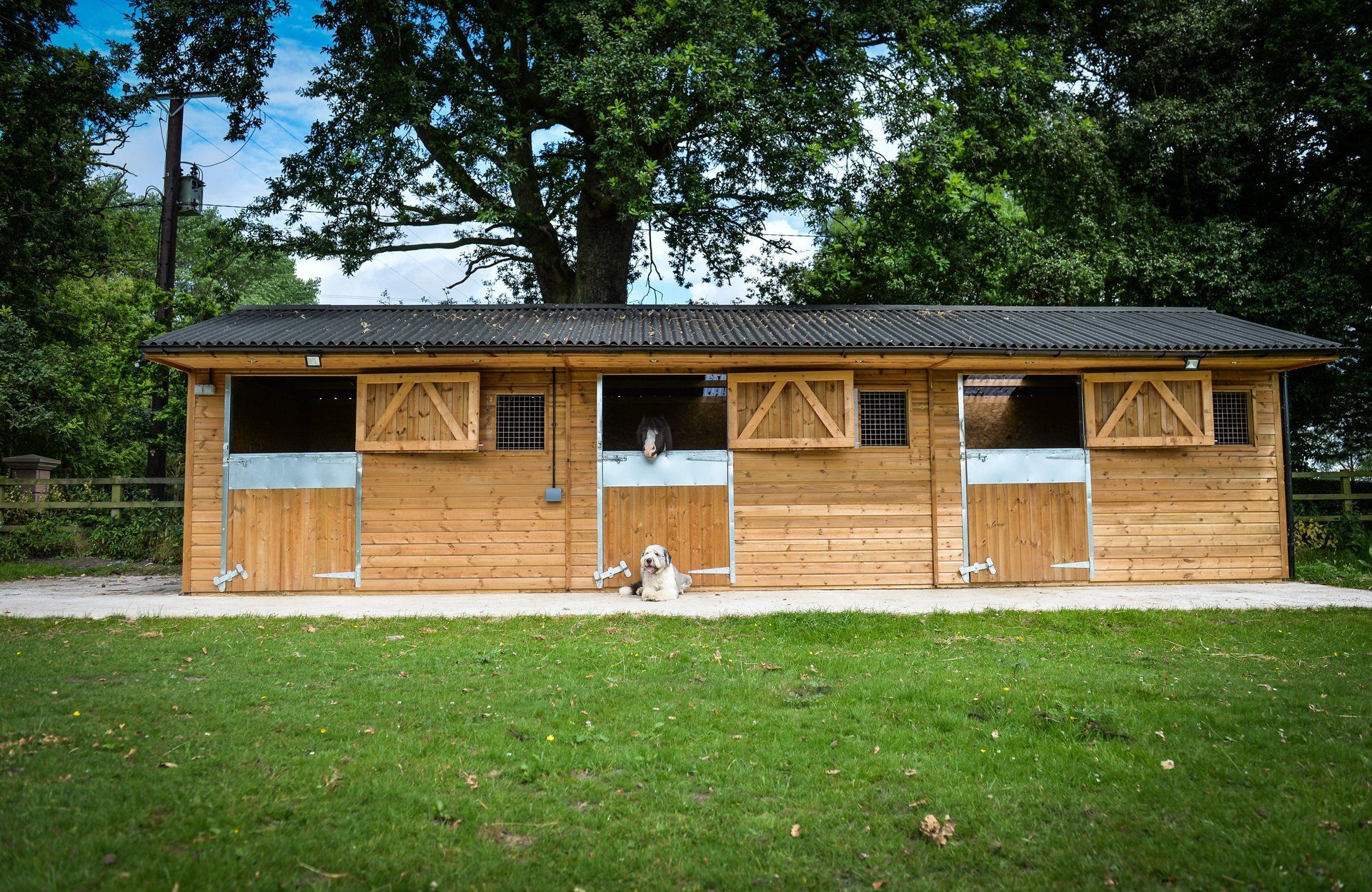 wooden stables