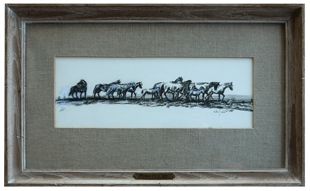 Horses Horses