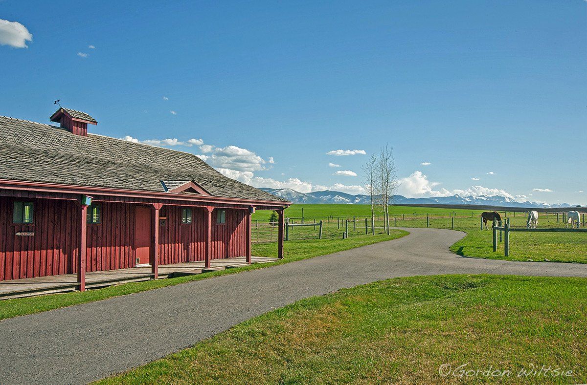 A red barn is sitting in the middle of a grassy field.