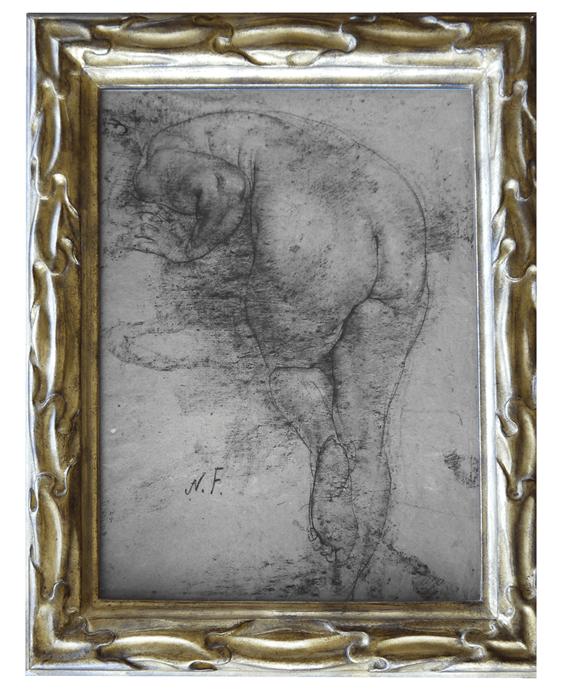 Nude Nude
